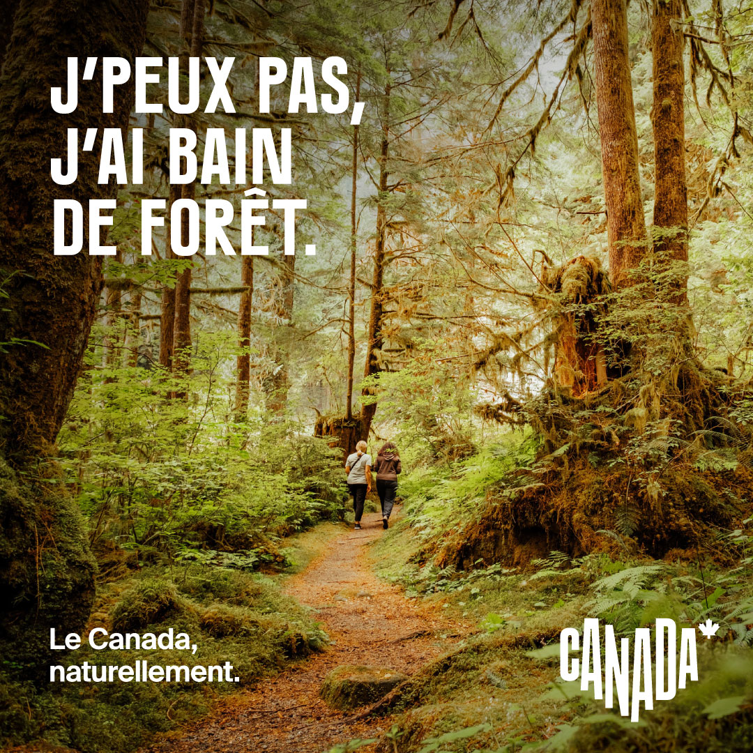 Fevrier 2 feed